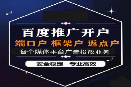 SEM服务在本地化营销中的应用案例
